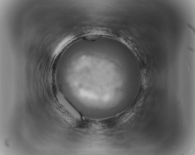 X0000103250199200808281511