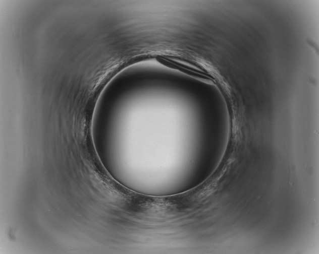 X0000103250201200808281511