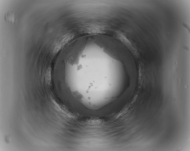 X0000103250202200808281511