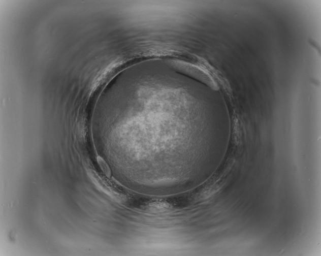 X0000103250203200808281511