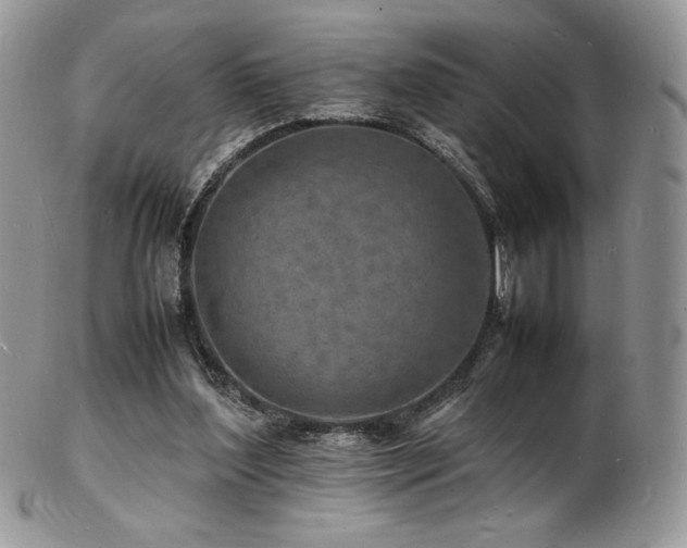 X0000103250204200808281511