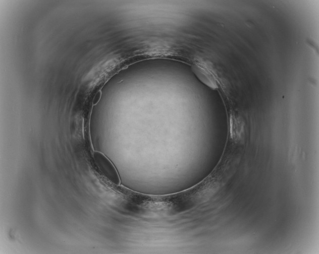 X0000103250205200808281511