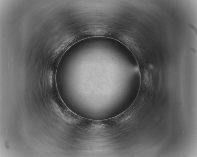 X0000103250206200808281511