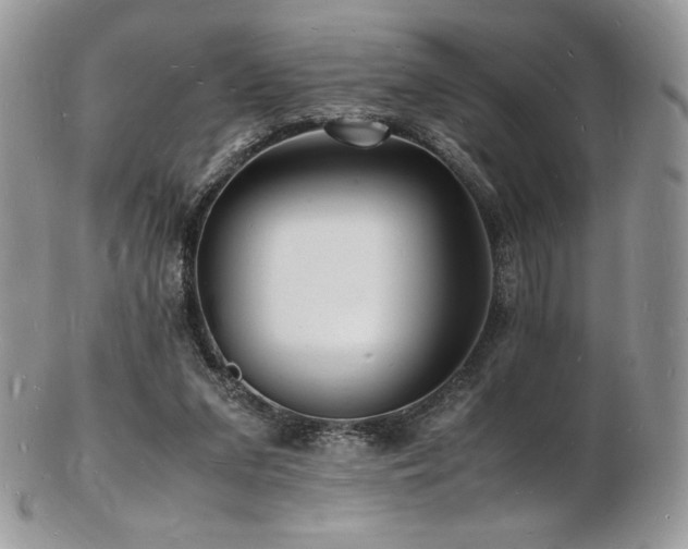 X0000103250207200808281511