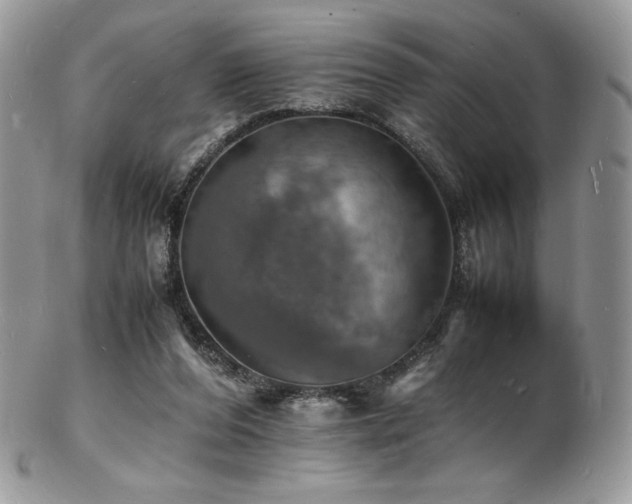 X0000103250208200808281511