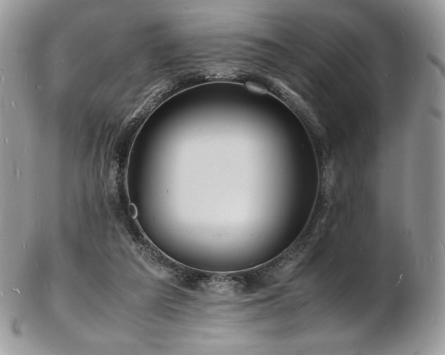 X0000103250209200808281511
