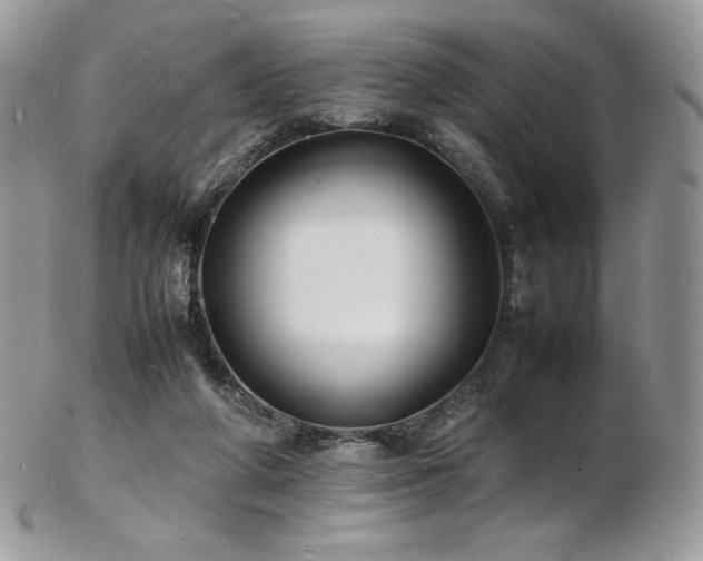 X0000103250210200808281511