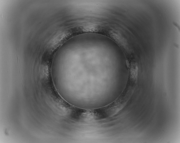 X0000103250211200808281511