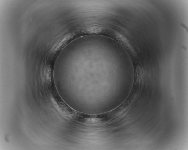 X0000103250212200808281511