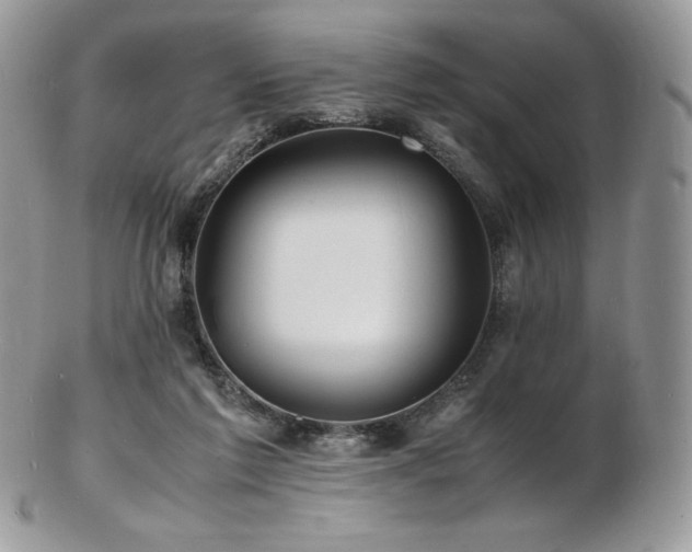 X0000103250213200808281511