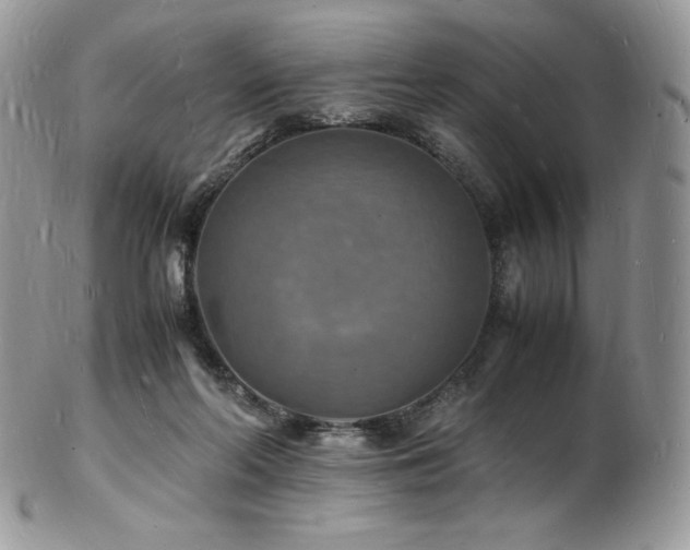X0000103250214200808281511