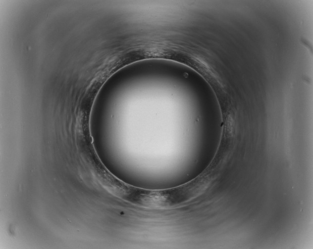 X0000103250217200808281511