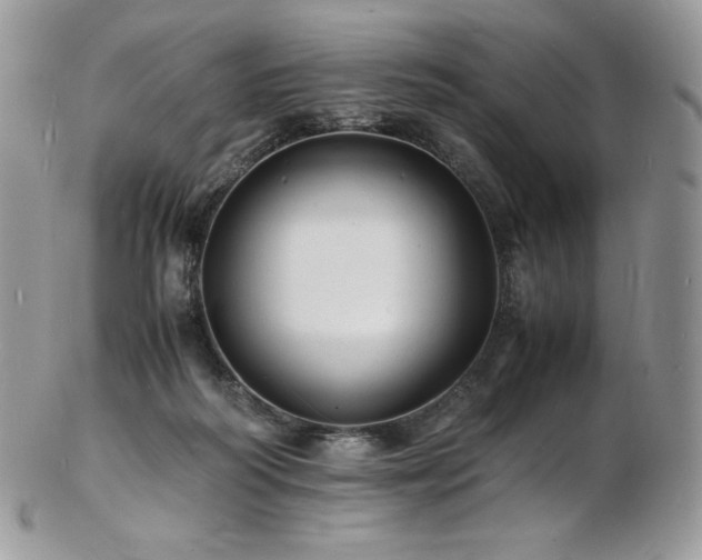 X0000103250218200808281511