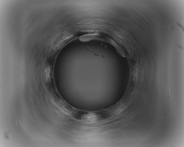 X0000103250219200808281511