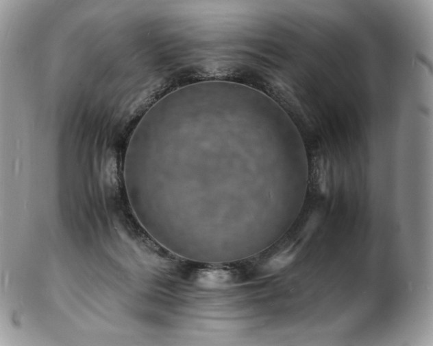 X0000103250220200808281511