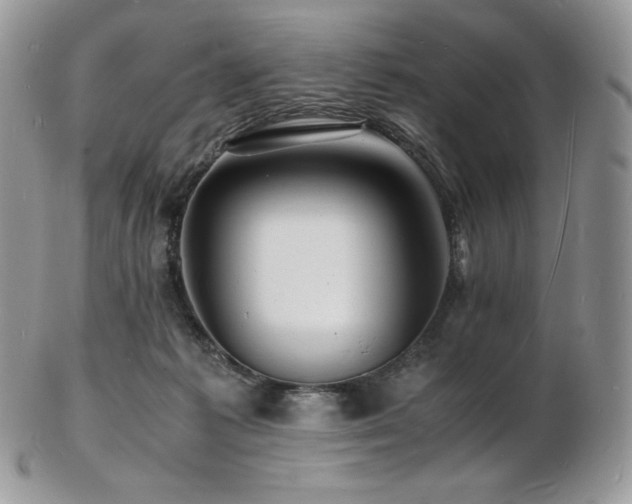 X0000103250221200808281510