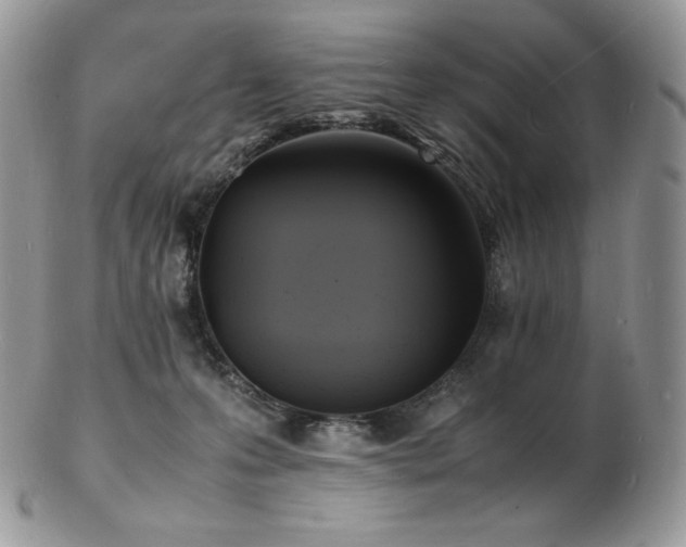 X0000103250223200808281510
