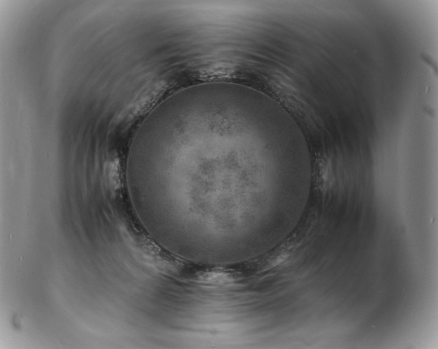 X0000103250224200808281510