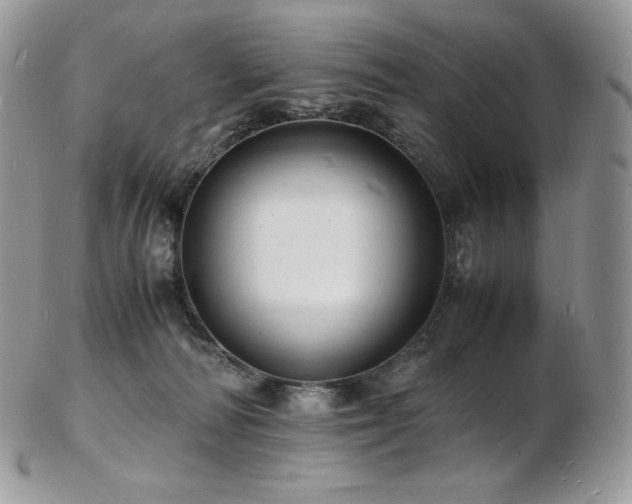 X0000103250226200808281510