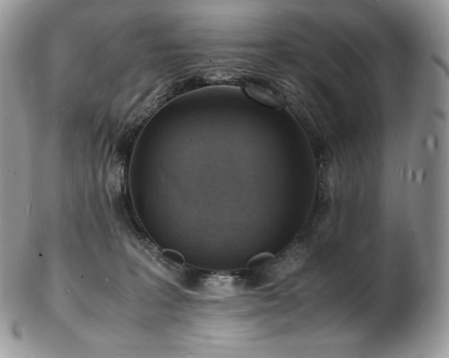 X0000103250227200808281510