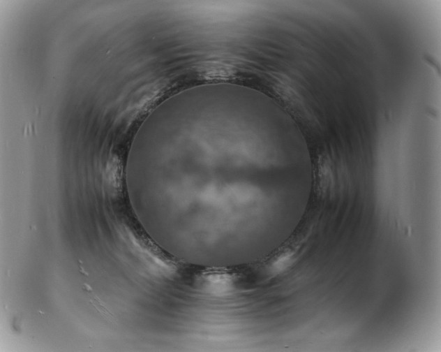 X0000103250228200808281510
