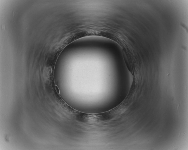 X0000103250229200808281510