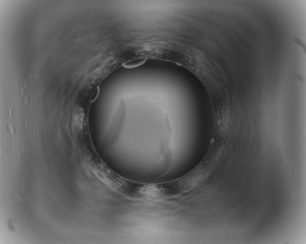 X0000103250231200808281510