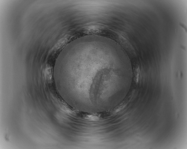 X0000103250232200808281510