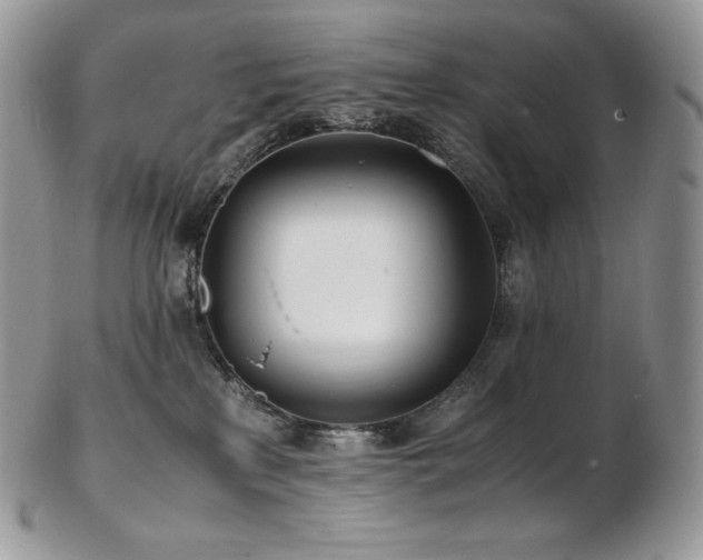 X0000103250233200808281510