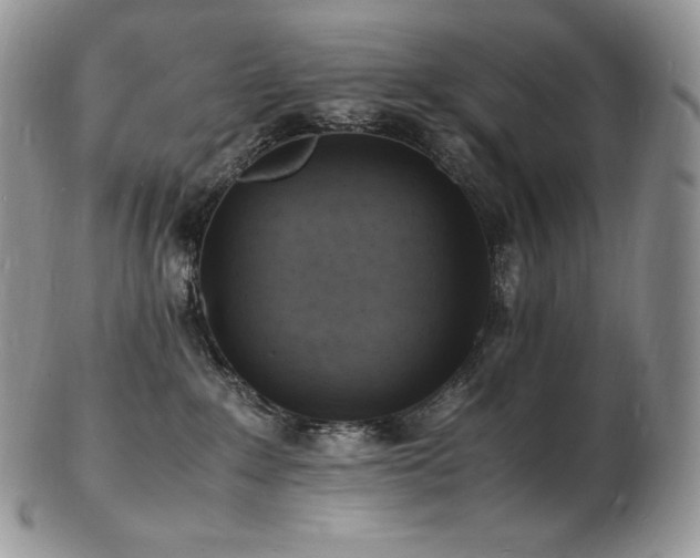 X0000103250235200808281510