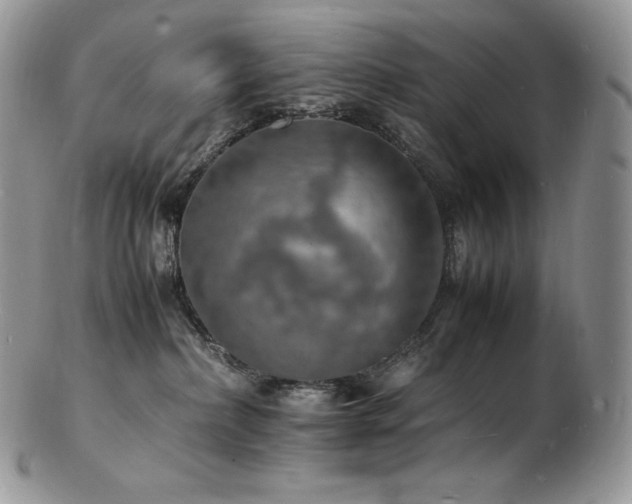 X0000103250236200808281510