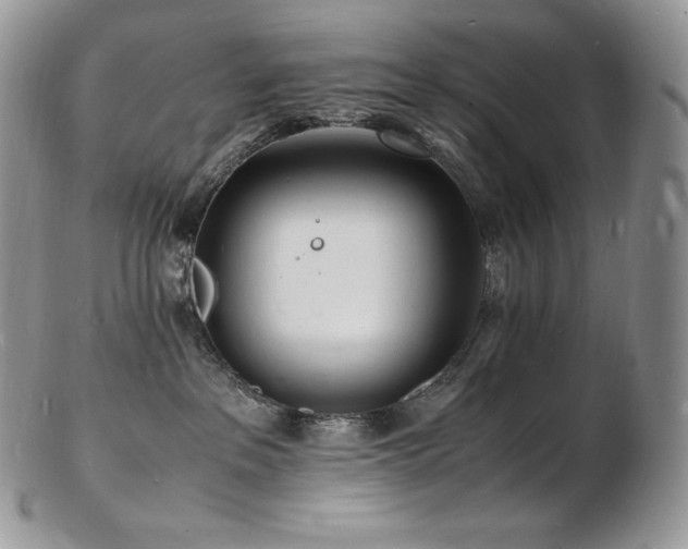 X0000103250237200808281510