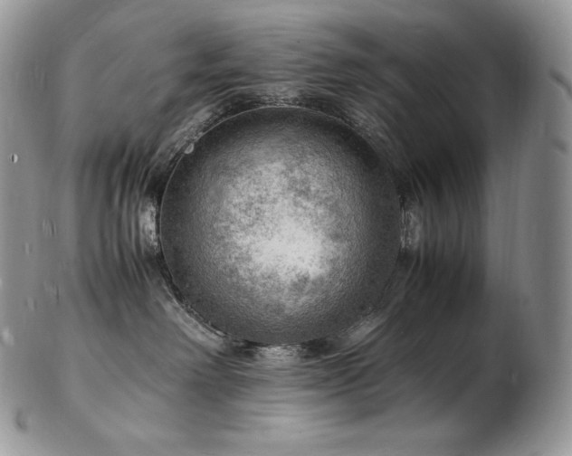 X0000103250238200808281510
