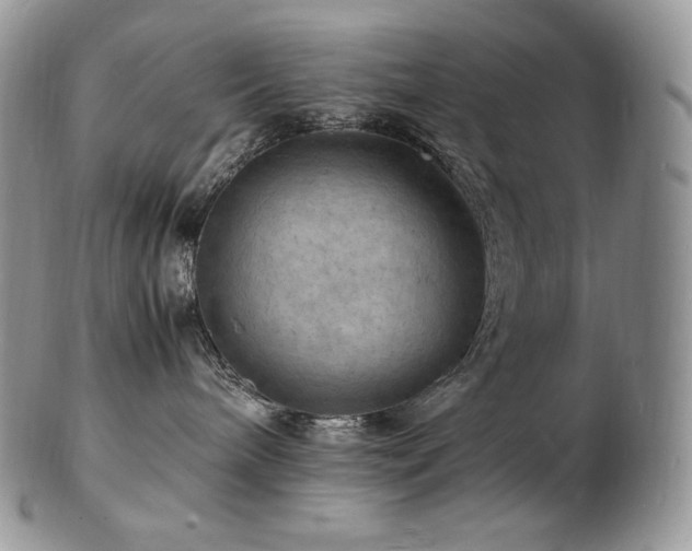 X0000103250240200808281510