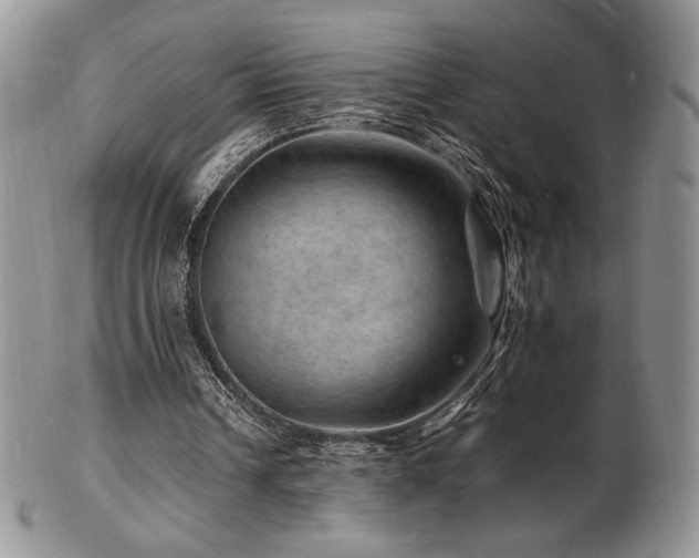 X0000103250242200808281510