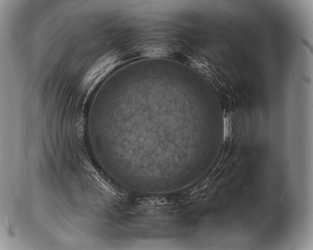 X0000103250243200808281510