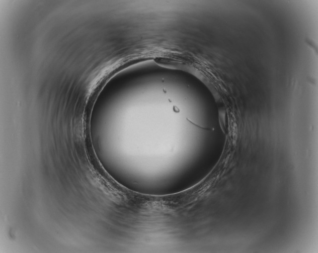 X0000103250244200808281510