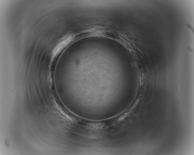 X0000103250245200808281510