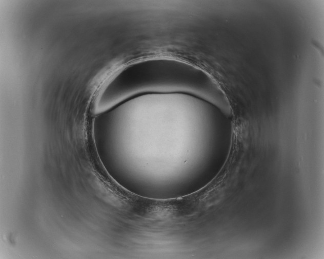 X0000103250248200808281510