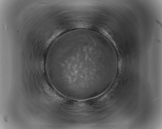 X0000103250249200808281510