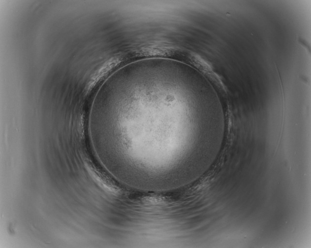 X0000103250250200808281510