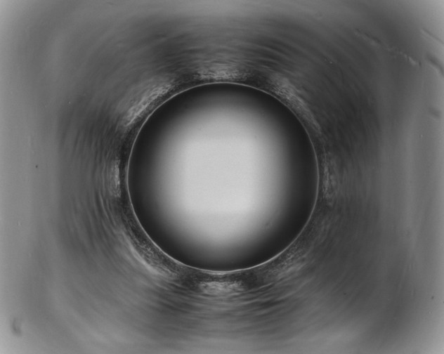X0000103250251200808281510