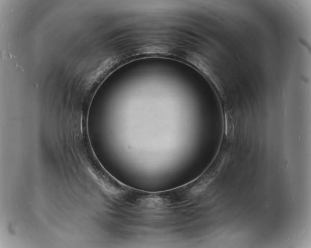 X0000103250253200808281510