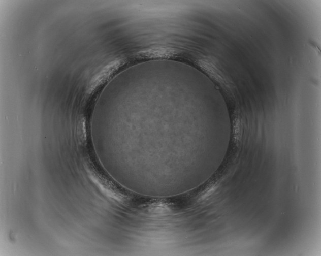 X0000103250254200808281510