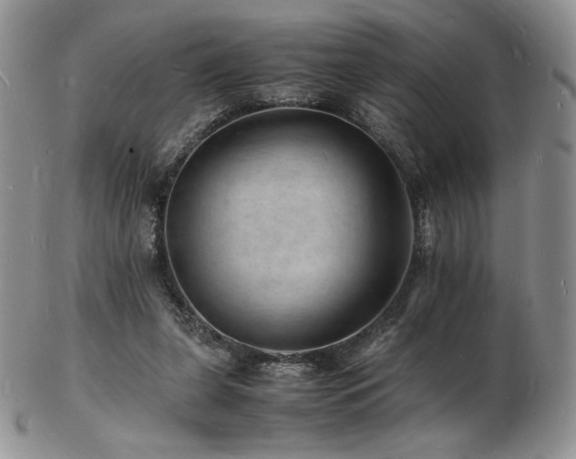 X0000103250255200808281510