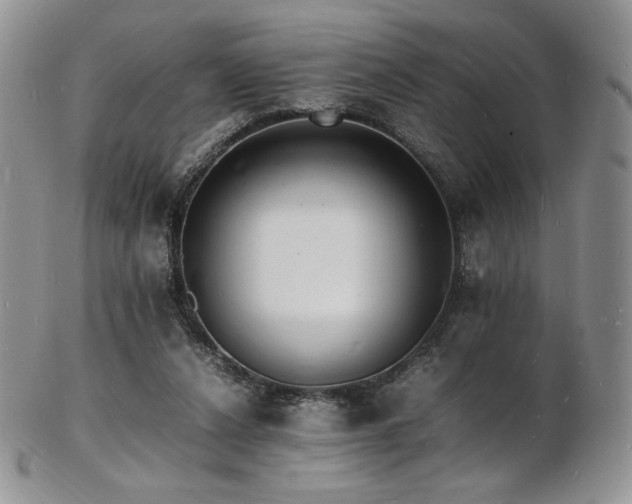 X0000103250256200808281510
