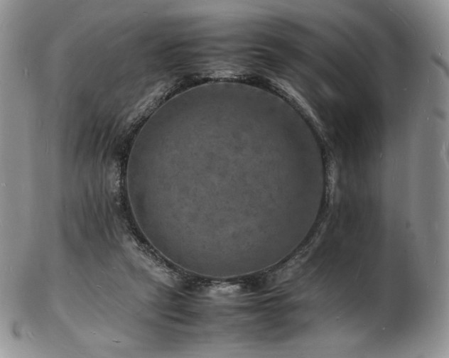 X0000103250257200808281510