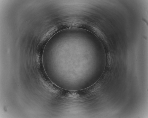 X0000103250258200808281510