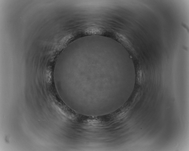 X0000103250259200808281510