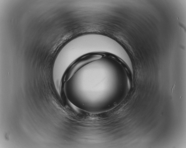 X0000103250260200808281510